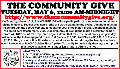 Donate through thecommunitygive.org