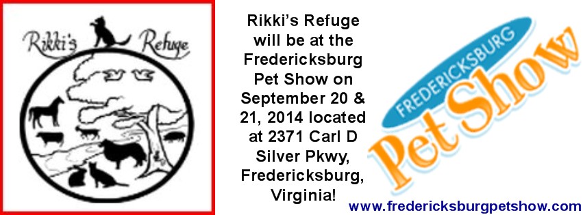 petshow