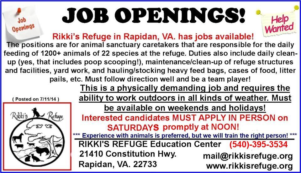 RIKKIS - Job Description