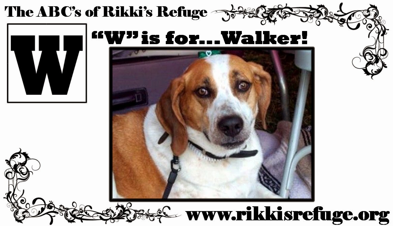 RIKKIS - Walker obit 2