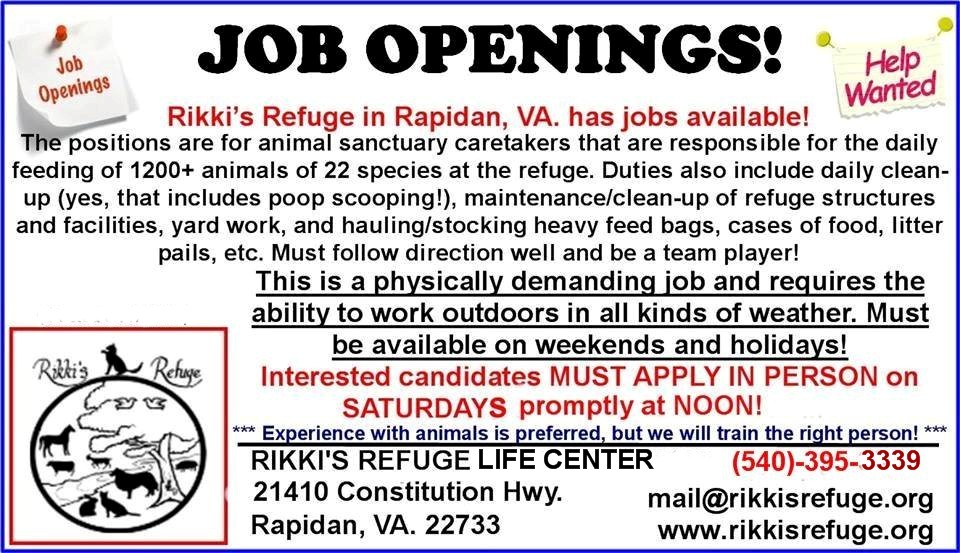 Animal care-taker positions open at Rikki's Refuge! | Rikki's Refuge Animal  Sanctuary