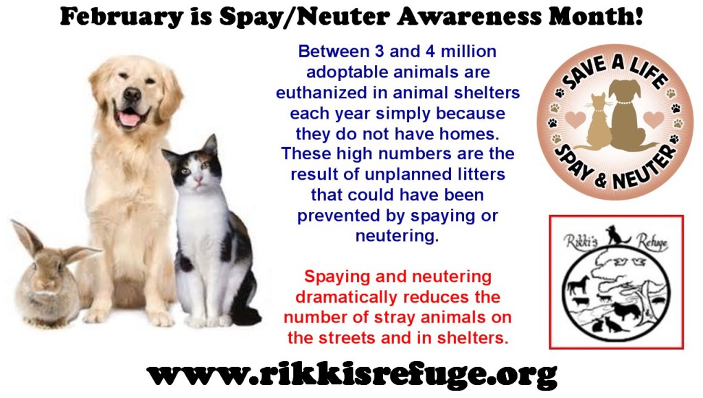 Spay/Neuter Awareness Month Rikki's Refuge Animal Sanctuary