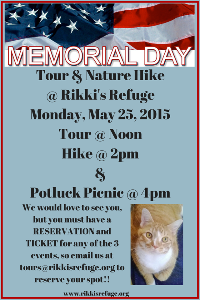 11150985_10152698225747391_3166292009198944017_n | Rikki's Refuge ...