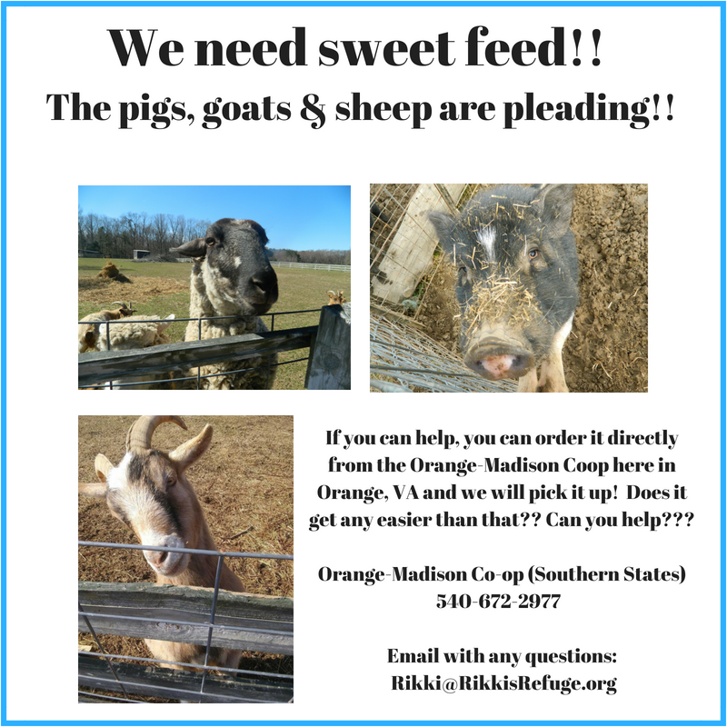 We need sweet feed!!
