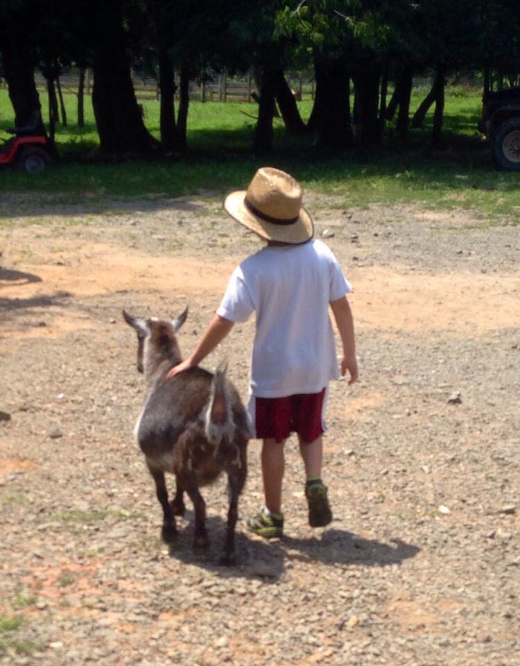 tbt jessie goat and little boy nicholas
