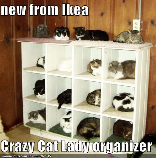 cat lady organizer 1