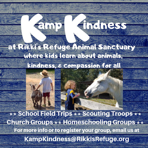 Kamp Kindness Logo revised final