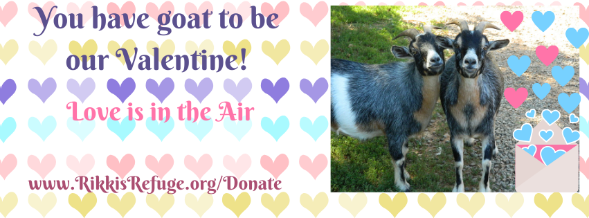You have goat to be our Valentine!