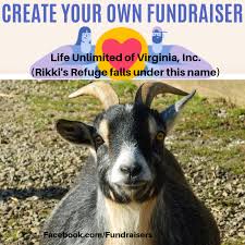 create your own fundraiser