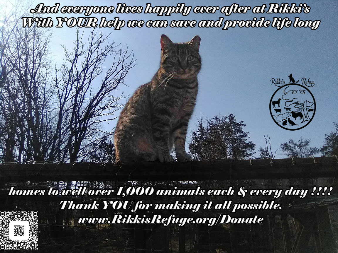 March 09, 2021 Tuesday at Rikki's Refuge | Rikki's Refuge Animal Sanctuary